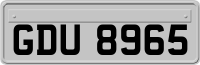 GDU8965