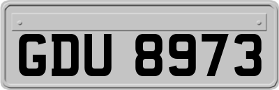 GDU8973