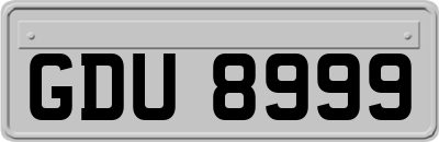 GDU8999