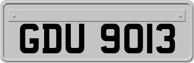 GDU9013
