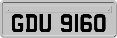 GDU9160