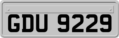 GDU9229
