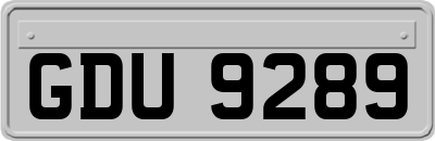 GDU9289