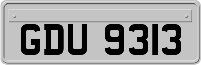GDU9313