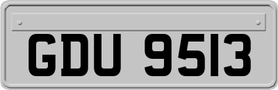GDU9513