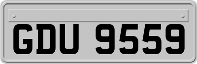 GDU9559