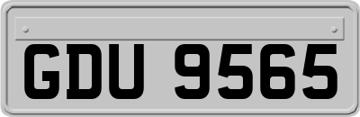 GDU9565