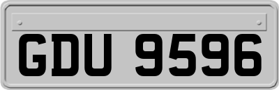 GDU9596