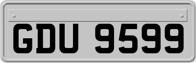 GDU9599