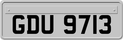 GDU9713