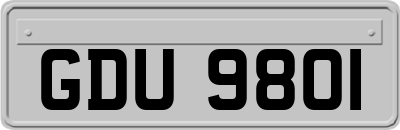 GDU9801