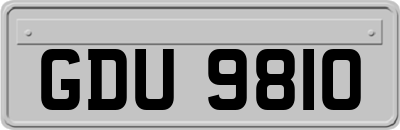 GDU9810