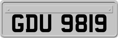 GDU9819