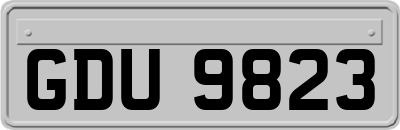 GDU9823