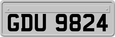 GDU9824
