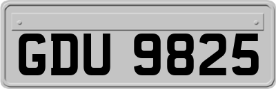 GDU9825