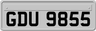 GDU9855