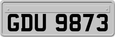 GDU9873