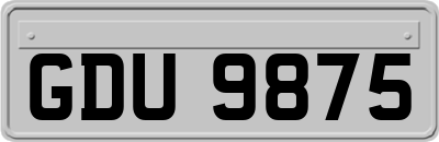GDU9875