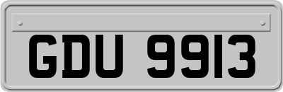 GDU9913