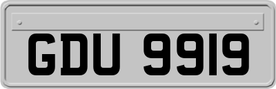 GDU9919