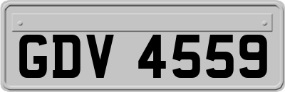 GDV4559