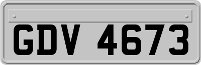 GDV4673