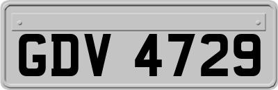 GDV4729