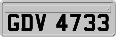 GDV4733