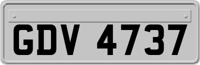 GDV4737