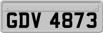 GDV4873