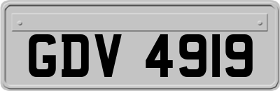 GDV4919