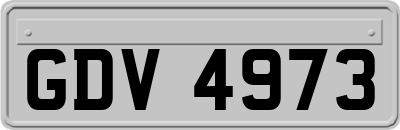 GDV4973