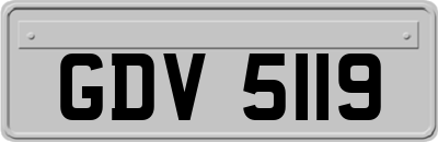 GDV5119