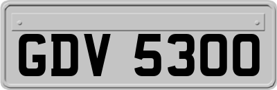 GDV5300