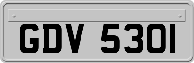 GDV5301