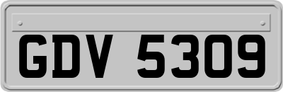 GDV5309