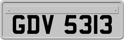 GDV5313