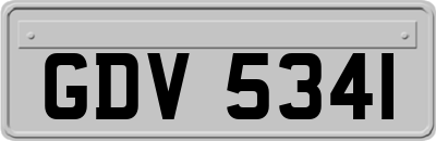 GDV5341
