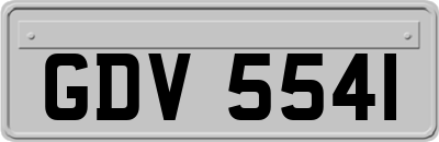 GDV5541