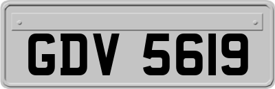 GDV5619