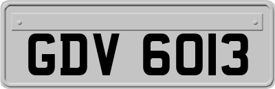 GDV6013
