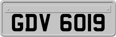 GDV6019