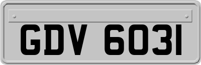 GDV6031