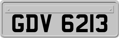 GDV6213