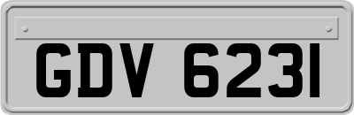 GDV6231