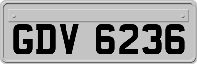 GDV6236