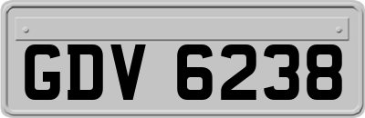 GDV6238