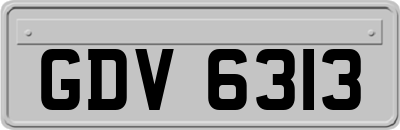 GDV6313