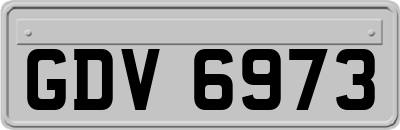 GDV6973